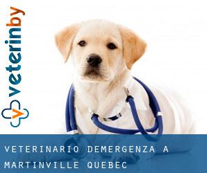 Veterinario d'Emergenza a Martinville (Quebec)