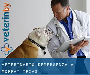 Veterinario d'Emergenza a Moffat (Texas)