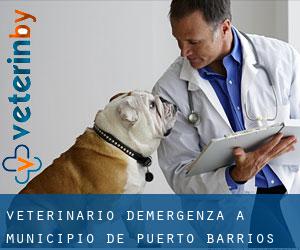 Veterinario d'Emergenza a Municipio de Puerto Barrios