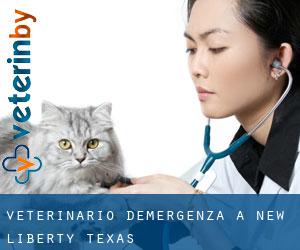 Veterinario d'Emergenza a New Liberty (Texas)