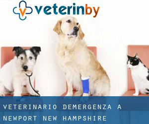 Veterinario d'Emergenza a Newport (New Hampshire)