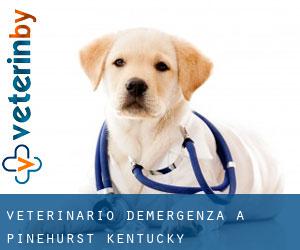 Veterinario d'Emergenza a Pinehurst (Kentucky)