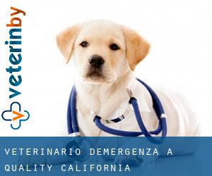 Veterinario d'Emergenza a Quality (California)