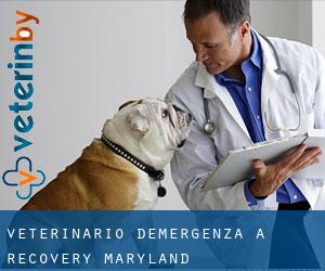 Veterinario d'Emergenza a Recovery (Maryland)