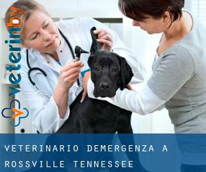 Veterinario d'Emergenza a Rossville (Tennessee)