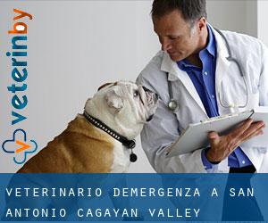 Veterinario d'Emergenza a San Antonio (Cagayan Valley)