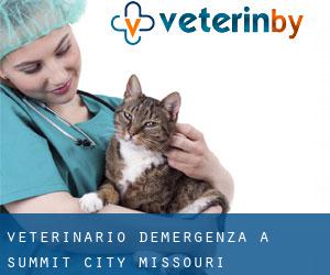 Veterinario d'Emergenza a Summit City (Missouri)