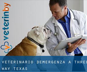 Veterinario d'Emergenza a Three Way (Texas)