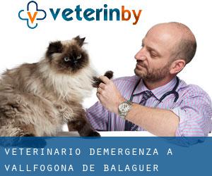 Veterinario d'Emergenza a Vallfogona de Balaguer