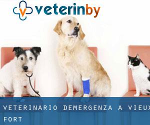 Veterinario d'Emergenza a Vieux-Fort