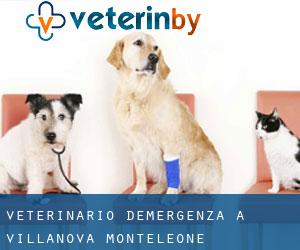 Veterinario d'Emergenza a Villanova Monteleone
