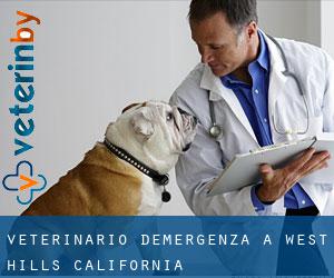 Veterinario d'Emergenza a West Hills (California)