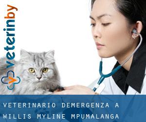 Veterinario d'Emergenza a Willis-Myline (Mpumalanga)