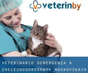 Veterinario d'Emergenza a Zheleznodorozhnyy (Moskovskaya)