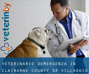 Veterinario d'Emergenza in Claiborne County da villaggio - pagina 1
