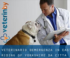 Veterinario d'Emergenza in East Riding of Yorkshire da città - pagina 2