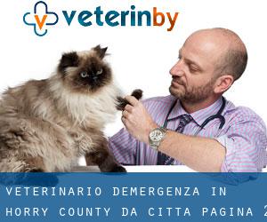Veterinario d'Emergenza in Horry County da città - pagina 2