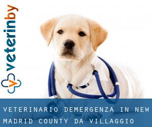 Veterinario d'Emergenza in New Madrid County da villaggio - pagina 1