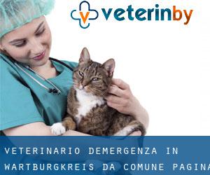 Veterinario d'Emergenza in Wartburgkreis da comune - pagina 1