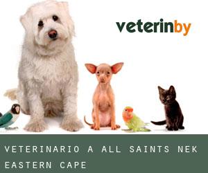 Veterinario a All Saints Nek (Eastern Cape)