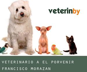 Veterinario a El Porvenir (Francisco Morazán)