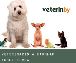 Veterinario a Farnham (Inghilterra)