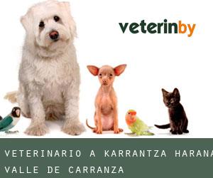 Veterinario a Karrantza Harana / Valle de Carranza