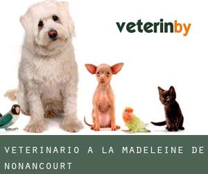 Veterinario a La Madeleine-de-Nonancourt
