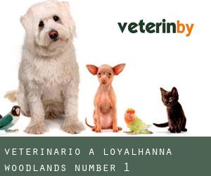 Veterinario a Loyalhanna Woodlands Number 1 (Pennsylvania)