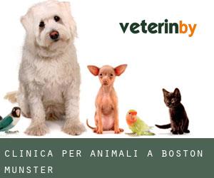 Clinica per animali a Boston (Munster)