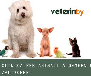 Clinica per animali a Gemeente Zaltbommel