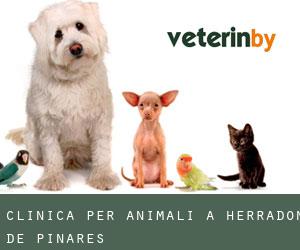 Clinica per animali a Herradón de Pinares