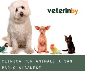 Clinica per animali a San Paolo Albanese