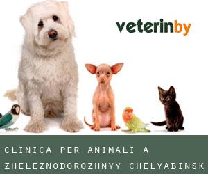 Clinica per animali a Zheleznodorozhnyy (Chelyabinsk Oblast)