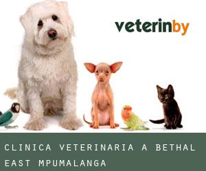 Clinica veterinaria a Bethal East (Mpumalanga)