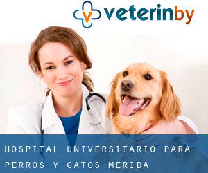 Hospital Universitario para perros y gatos (Mérida)