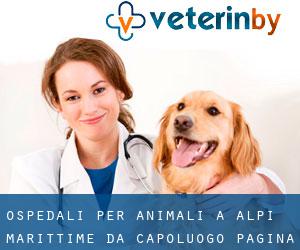 ospedali per animali a Alpi Marittime da capoluogo - pagina 7