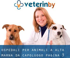 ospedali per animali a Alta Marna da capoluogo - pagina 3