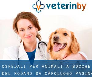 ospedali per animali a Bocche del Rodano da capoluogo - pagina 7