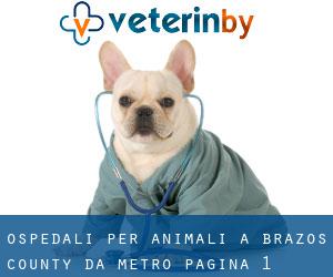 ospedali per animali a Brazos County da metro - pagina 1
