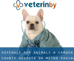 ospedali per animali a Camden County Georgia da metro - pagina 1
