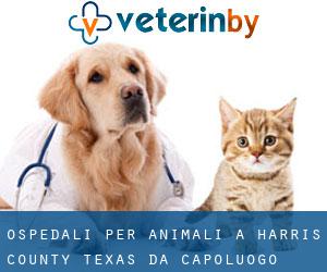 ospedali per animali a Harris County Texas da capoluogo - pagina 7