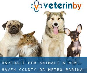 ospedali per animali a New Haven County da metro - pagina 1