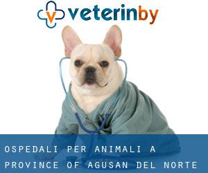 ospedali per animali a Province of Agusan del Norte da villaggio - pagina 1
