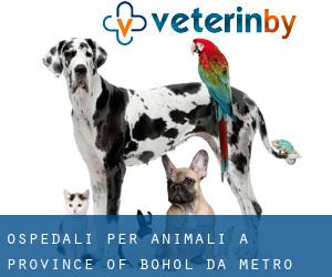 ospedali per animali a Province of Bohol da metro - pagina 2