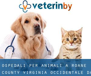 ospedali per animali a Roane County Virginia Occidentale da capoluogo - pagina 2