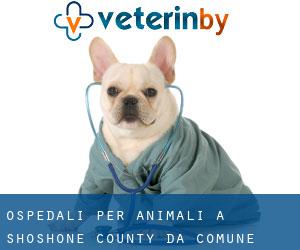 ospedali per animali a Shoshone County da comune - pagina 2
