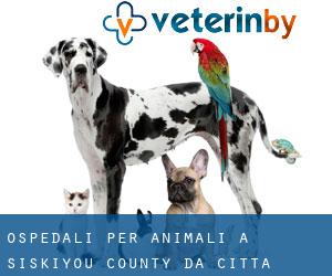ospedali per animali a Siskiyou County da città - pagina 1