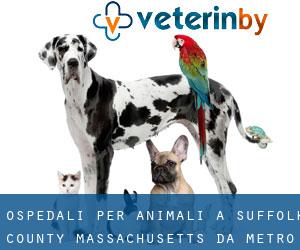 ospedali per animali a Suffolk County Massachusetts da metro - pagina 2