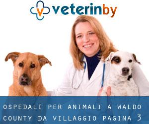 ospedali per animali a Waldo County da villaggio - pagina 3